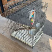 قفس پرنده سالم