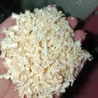 همستر و ملزومات نگهداری چرخ و فلک آبخوری پوشال|موش و خرگوش|مشهد, حجاب (شهرک غرب)|دیوار