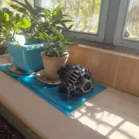 دینام فابریک 206 کاملا سالم