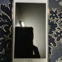 iPhone 8Plus 256G|موبایل|تهران, مینای شمالی (مخبر)|دیوار