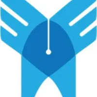 معلم خصوصی زبان انگلیسی با مدرک دکتری