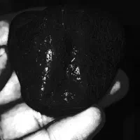 شهاب سنگ الماسی|کلکسیون اشیاء عتیقه|ماسال, |دیوار