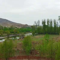 اجاره سوییت