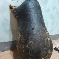 هیزه بزرگ|ظروف نگهدارنده، پلاستیکی، یک‌بارمصرف|اسلام‌‌آباد غرب, |دیوار