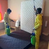 سمپاشی ساس سوسک موش موریانه کنه کک با ضمانت