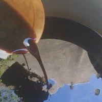 سلام شیره اعلا درجه یک خالص