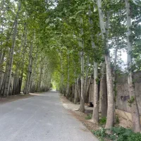 باغ۵۰۰mدربهترین لوکیشن سهیلیه سنقراباد«صاحب الزمان