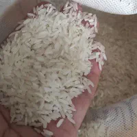 پاکستانی در  حد فجر و طارم  قیمت استثنایی