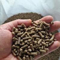 پخش و عرضه خوراک ماهی و آبزیان