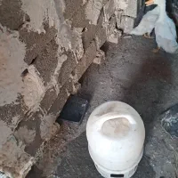 اوردک وخرگوش