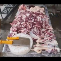 فروش گوسفند زنده دشت مغان از روستاهای قوچان|حیوانات مزرعه|تهران, خانی‌آباد|دیوار