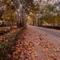 عکاسی پاییزه ویژه ابان ماه (با چاپ عکس ها و ویدیو)|خدمات پذیرایی، مراسم|بجنورد, |دیوار