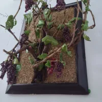 قاب انگور خمیر سازی