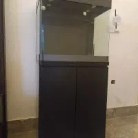 آکواریوم شیشه خم شرکتی با میز