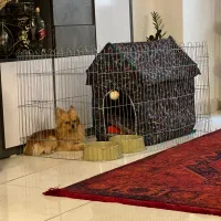 واگذاری رایگان نیست ۳۰میلیون