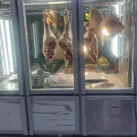 یخچال ویترینی و فریزر