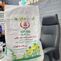 بذر کلزا هیبرید هایولا ۵۰
