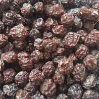 آلوچه خورشتی