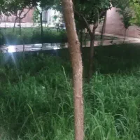باغ ویلا اجاره فقط ۲نفر توس ۶۵ داخل شهر|اجارهٔ کوتاه‌مدت ویلا و باغ|مشهد, توس (بلوار توس)|دیوار