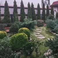 حیاط سازی ونگه داری گل گیاه|خدمات باغبانی و درختکاری|کلارآباد, |دیوار