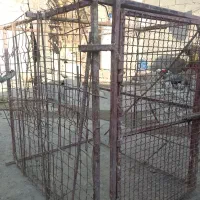 قفس مخصوص انواع پرنده