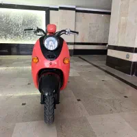 پا کشتی وینو بسیار سالم
