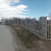 باغ الوان بر آسفالت