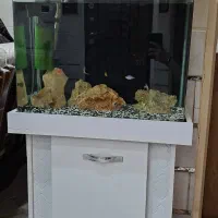 اکواریم سایز80 با تاج و پایه