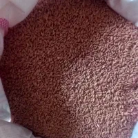 فروش عمده