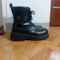 پوتین در حد نو