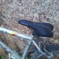 دوچرخه|دوچرخه، اسکیت، اسکوتر|تربت جام, شهید مدرس|دیوار