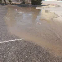 کارواش سیار یزد واش|خدمات نظافت|یزد, |دیوار