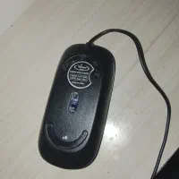 موس|قطعات و لوازم جانبی رایانه|تربت جام, والفجر|دیوار