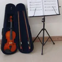 ویلن خارجی آموزشی