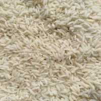 برنج علی کاظمی بیرانشهر