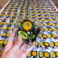 مرکز تخصصی پک پذیرایی ترحیم دفاعیه همایشات|خدمات پذیرایی، مراسم|اصفهان, فیض|دیوار