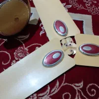 پنکه سقفی سالم  بدون مشکل