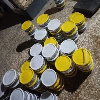 خرمای خاصی کبکاب با بهترین کیفیت