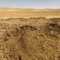 کودگاوی