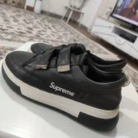 کفش اسپرت نو|کیف، کفش، کمربند|مریوان, |دیوار