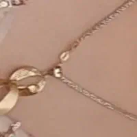 باسلام همشهری های عزیز زنجیرو پلاک گمشده