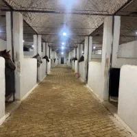 نیاز به گارگر