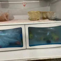 فروش یخچال فریزر|یخچال و فریزر|شاهین‌شهر, شهرک میلاد|دیوار