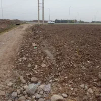 زمین زراعی.کشاورزی|فروش دفتر صنعتی، کشاورزی، تجاری|فاضل آباد, |دیوار