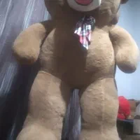 خرس پشمالو