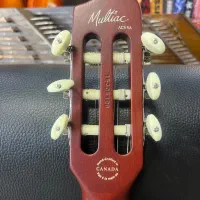 گیتار گودین godin|گیتار، بیس، امپلیفایر|بابلسر, |دیوار