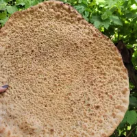 نان|خوردنی و آشامیدنی|مبارکه, |دیوار