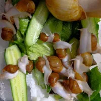 جوجه حلزون ۵ ماهه و خاویار حلزون