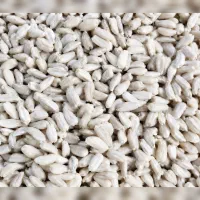 گوسفند ،گاو، گوساله طیور (معاوضه )