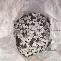 آکواریوم شرکتی...|ماهی|بندر ماهشهر, |دیوار